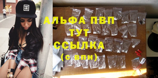 прущие грибы Алексин