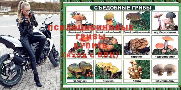 прущие грибы Алексин